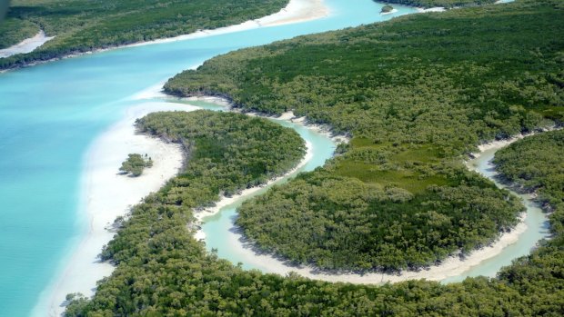 Mangroves and tidal creeks of Roebuck Bay, near Broome, WA.