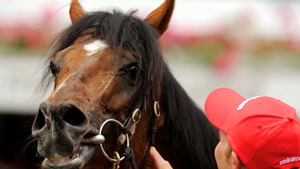 And the winner is ... Green Moon gets the last laugh after  his 2012 Melbourne Cup victory.