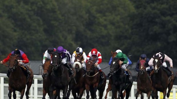 Purple haze &#8230; So You Think, third from left, charges to victory in the Prince Of Wales Stakes at Royal Ascot.
