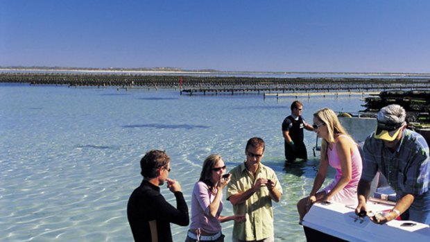 All in good taste ... visitors sample South Australian local fare.