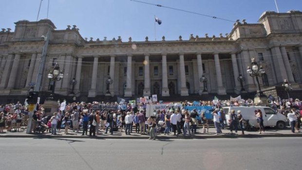 People gather for the Animals Matter to Me march. 