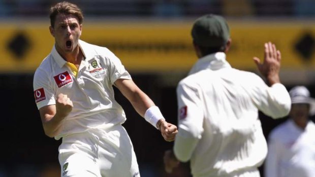 James Pattinson says the return of Test bowling coach Craig McDermott is fantastic ahead of the Ashes series.