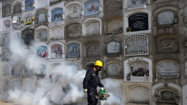 A health worker fumigates to prevent Dengue, Chikunguya and Zika virus, at El Angel cemetery  in Lima, Peru.