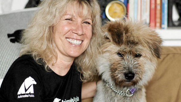 Rescue me … Jill Robinson, founder and CEO of Animals Asia Foundation, with a rescued dog.