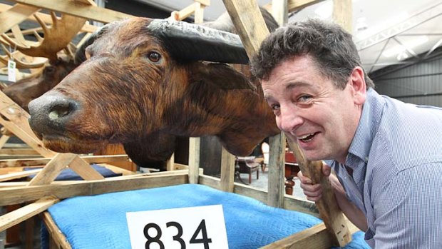 Heads up: Publican Jaz Mooney with one of the stuffed animals he bought at auction to decorate the Lucky Australian Tavern in St Marys.