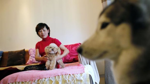 New rules... a Shanghai resident, Guo Huiying, with her two dogs, Xixi, left, and Snow, in her apartment.