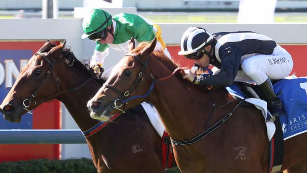 Missed by that much: Hot favourite Missy Longstocking (right) gets up to win for jockey Damian Browne from outsider Hallside Rose (Jim Byrne) at Doomben on Saturday.