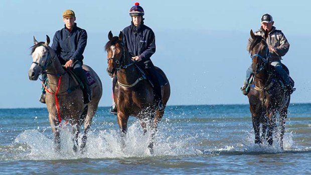 It's A Dundeel (centre) during a beach trackwork session at Melbourne's Altona beach.