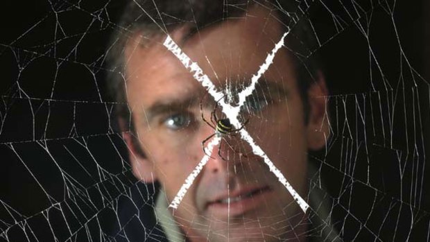 Invertebrate expert Patrick Honan, with a St Andrew’s cross spider, will host a seminar to help people caught in a web of fear.