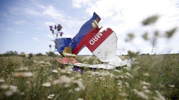 Part of the wreckage of  MH17 at the crash site.