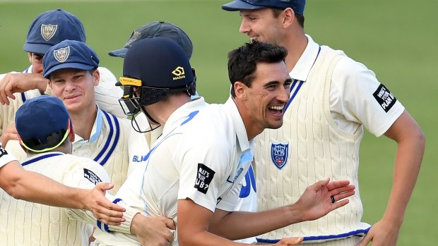 Too good: Mitchell Starc has been unplayable at times for NSW this season.