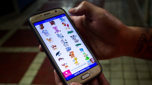 A customer displays a smartphone showing an animal lottery app. The Animalitos game has 30 animals and offers a chance to win 30 times the amount of the bet.