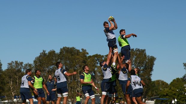 High flyer: Ben McCalman  takes a lineout ball during a Wallabies' training session on the Sunshine Coast. 