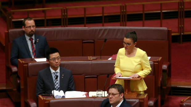Senator Jacqui Lambie used her maiden speech to reiterate her calls for a royal commission into the Australian Defence Force and the Department of Veterans Affairs. 