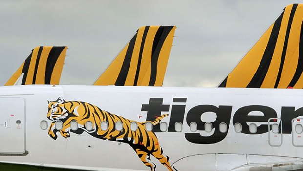 Tiger ... flights will resume only on the Melbourne to Sydney route tomorrow.