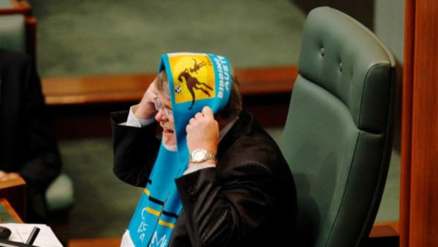Foul ball ... Harry Jenkins used his Fifa World Cup scarf, which MPs wore in support of Australia's bid, to hide from the antics in parliament yesterday.
