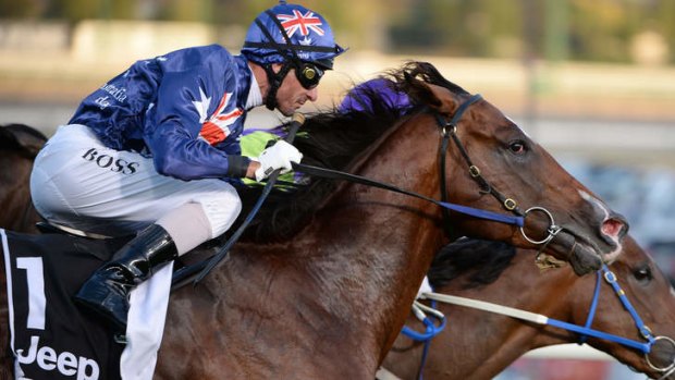 Second best? Shamexpress will take on mighty mare Black Caviar in the Lightning Stakes.
