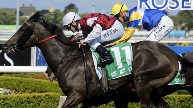 Winning double &#8230; Classics, with Christian Reith on board, edges out Tromso to make it two wins for trainer Peter Snowden at Rosehill on Saturday.