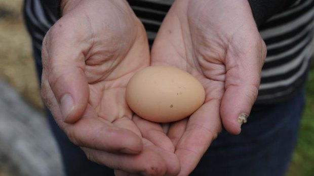 No beat up: higher egg prices are on the way.