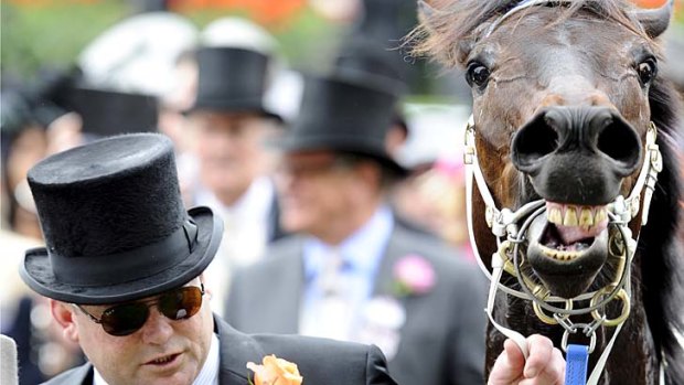 Trainer Peter Moody with Black Caviar after her win in the Diamond Jubilee Stakes at Royal Ascot.