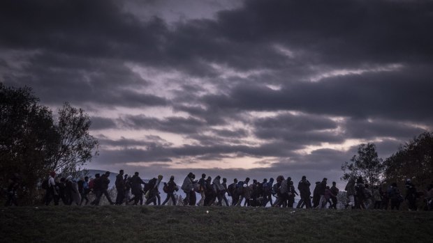 Migrants in Slovenia head towards a registration camp, with reports predicting the number of displaced people globally will only rise. 