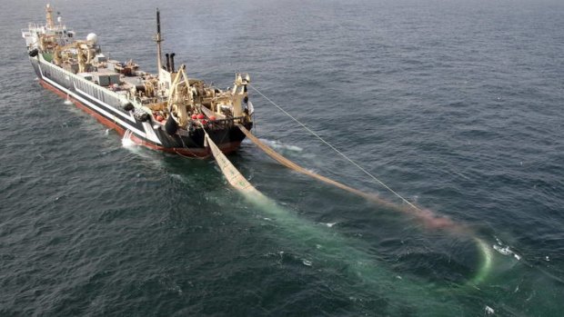 The Margiris super trawler, now renamed the Abel Tasman .