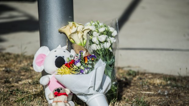 Tributes of soft toys and flowers at the site of the triple death and house fire in Bonner. 