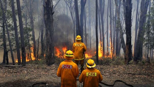 A single fire service - uniting Victoria's CFA and MFB - would save millions of dollars and streamline firefighting.
