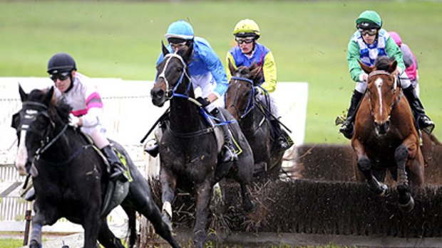 Some Are Bent (blue colours) is ready to pounce in the Brierly Steeplechase on Tuesday.