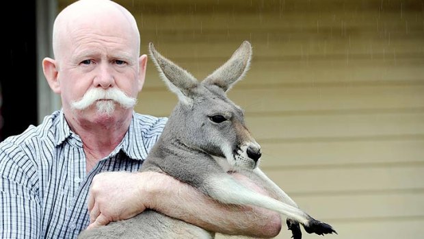Colin Candy with his pet kangaroo Frances.