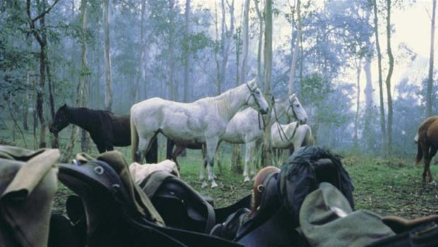 Steady, boys ... there's no finer way to see the high country than from the back of a horse.