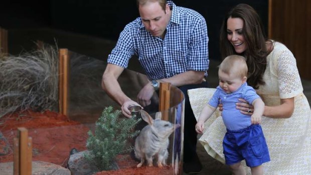 Slow news week: Prince William and the Duchess of Cambridge introduce Prince George to a bilby.