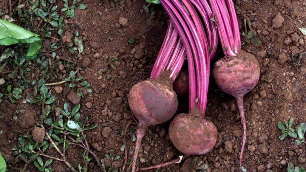 Power source ... the beetroot.