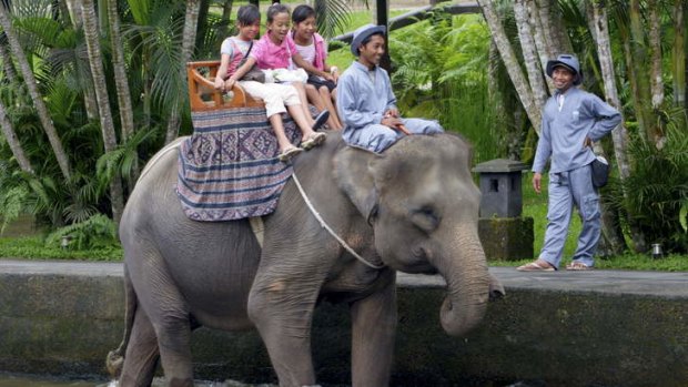 The Elephant Safari Park at Taro in Bali.