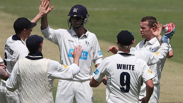 Peter Siddle celebrates a Queensland wicket with his Victoria teammates.