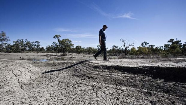 Cracking up: Drought stalks the land from the Murray-Darling Basin to Queensland.