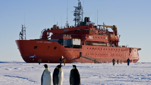 The government has announced the building of a replacement for the Aurora Australis - but what should we call it?