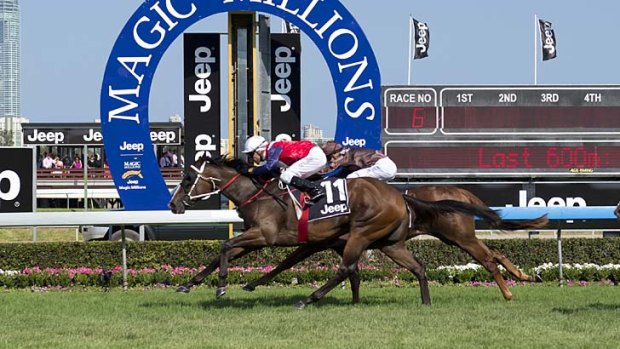 Real deal: Michael Cahill boots Real Surreal home in the Magic Millions on Saturday.