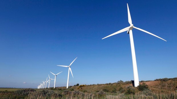 Professor Simon Chapman defended his use of the term 'wing nuts' to describe anti-wind farm campaigners.