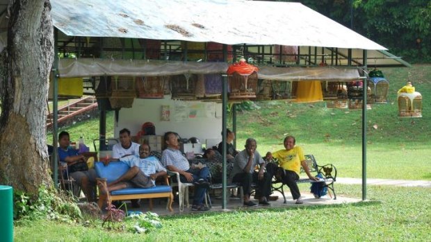 Members of the Kebun Baru Bird-singing Club were happy to chat to curious travellers.