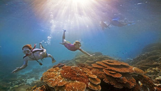 The view: Snorkelling at the Great Barrier Reef.
