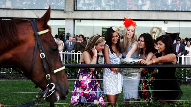 Ladies looking for a winner on Ladies' Day at Rosehill.