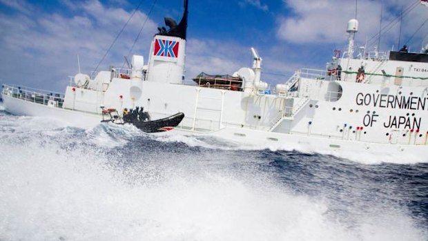 A small boat from the Sea Shepherd vessel, Steve Irwin, makes a reconnaissance trip past the Japanese whaling ship the Shonan Maru #2 near Fremantle earlier this month.