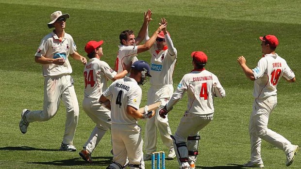 Put your hands up: Chadd Sayers celebrates with his teammates after claiming Andrew McDonald.
