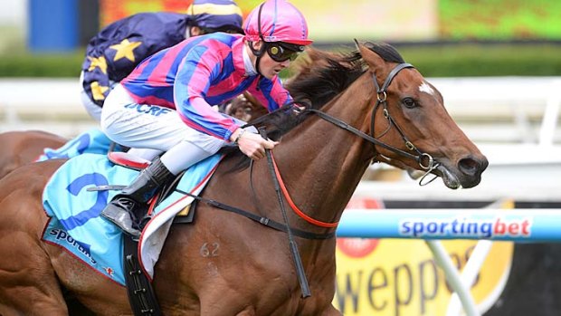 Derby-bound: Tips And Beers wins at Caulfield this month.