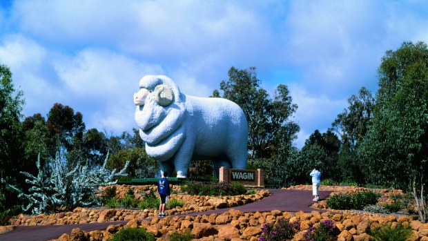 The Giant Ram, Wagin.