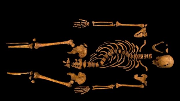 The King's skeleton was discovered underneath a Leicester council car park in 2012, some 528 years after he died in battle.