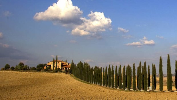 Fields in Tuscany.