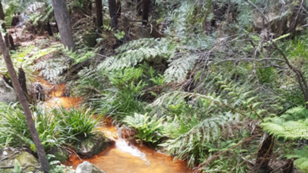 Downstream of the Berrima Coal mine.