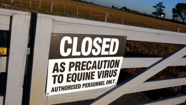 Bolted: Money invested to fight an equine influenza court case is subject to a major probe.
